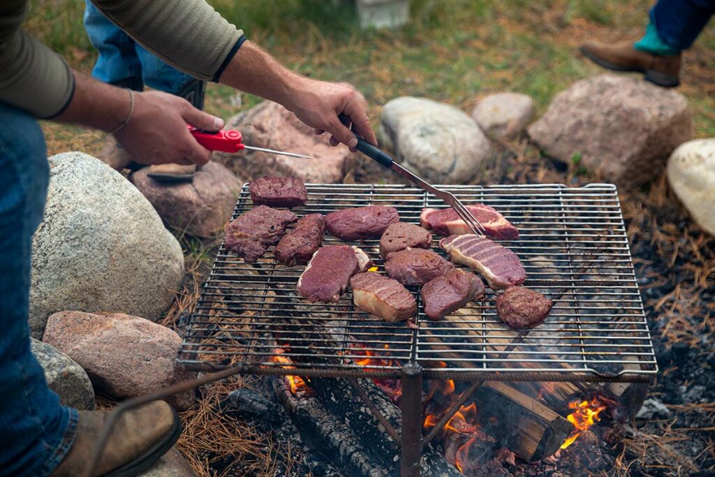 All About The Different Cuts of Bison